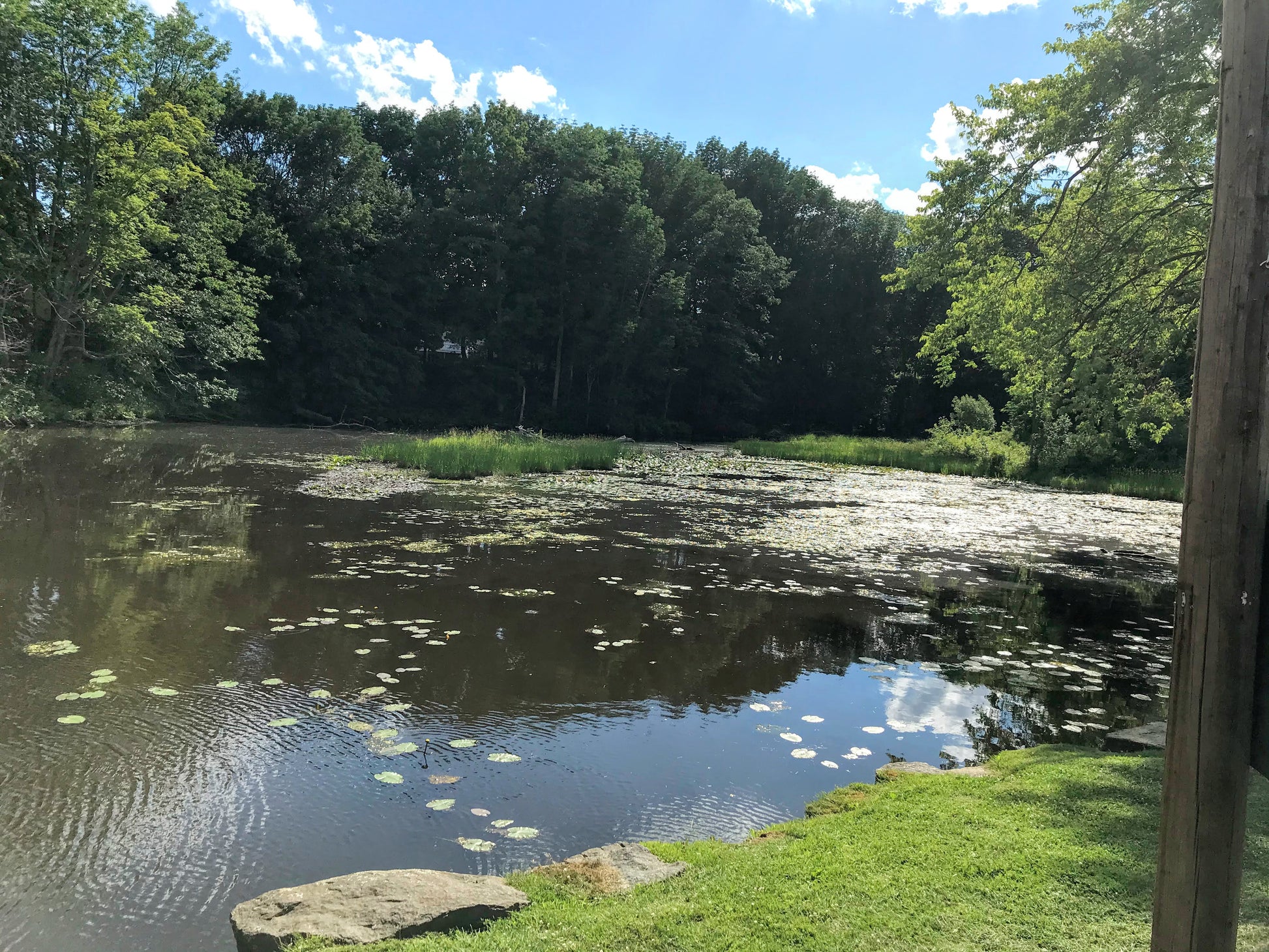 Beautiful pond